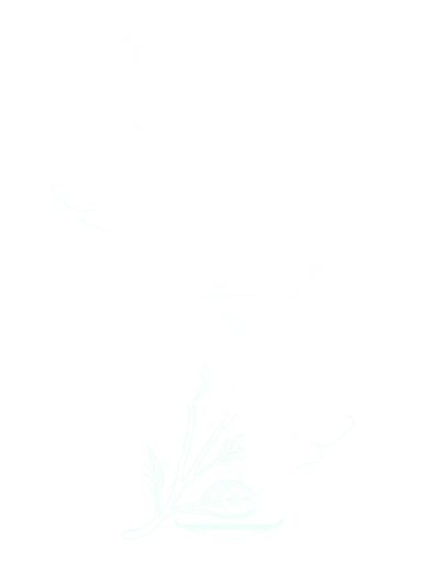 AC21A4E9-8B1B-4F13-AFCD-CEE963ADA00E.png